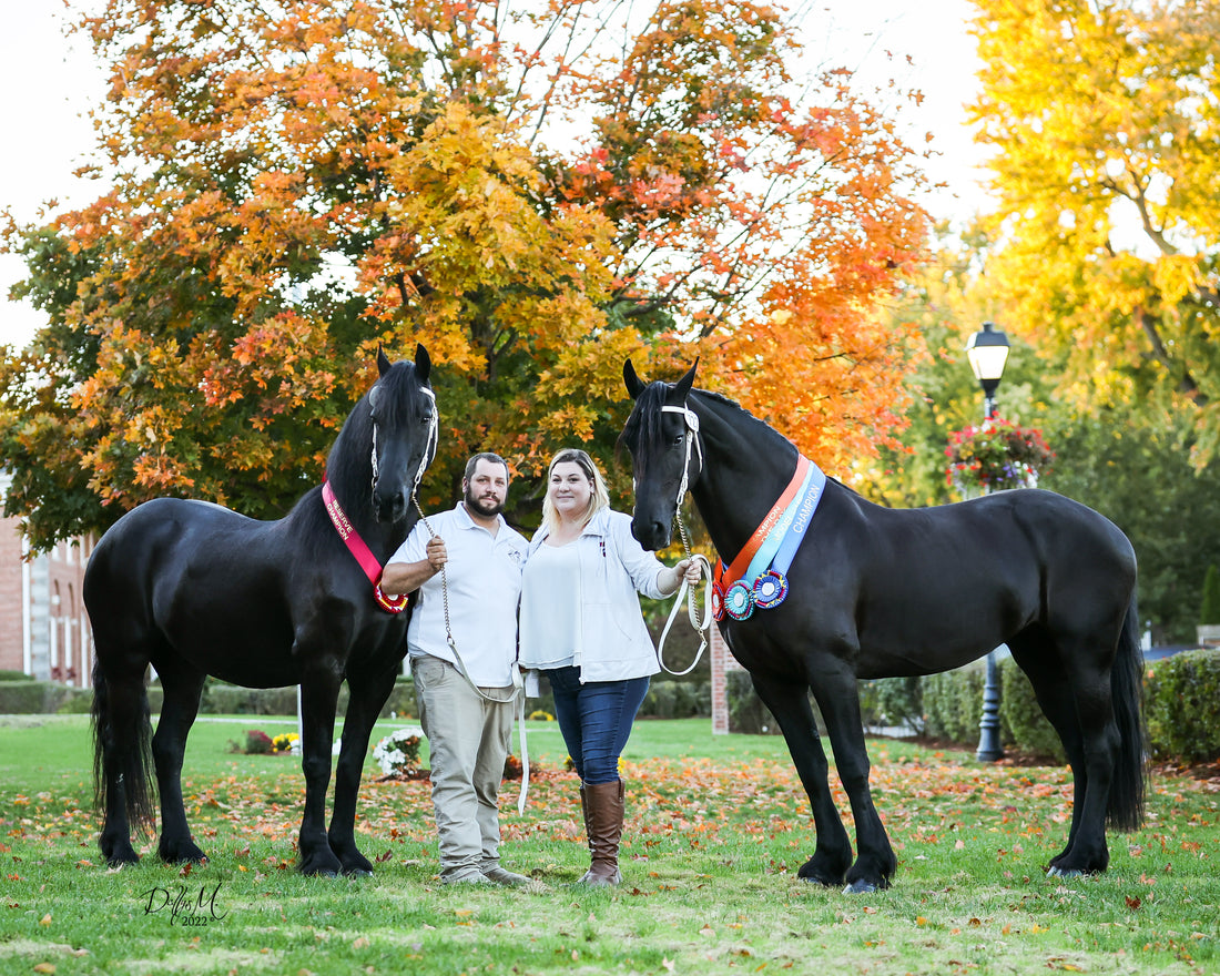 Who is The Unbridled Equine?